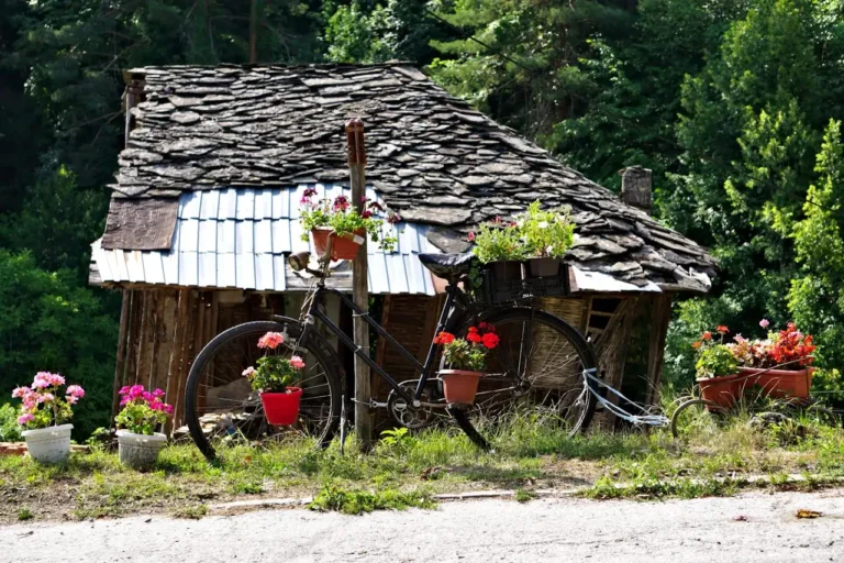 Upcycled Garden Décor Ideas That Add Personality