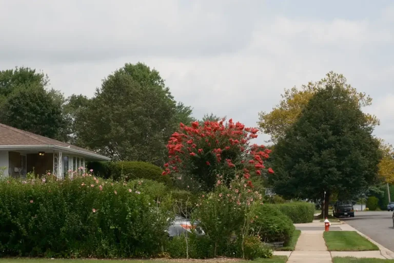 Seasonal Garden Checklist: What to Plant and When