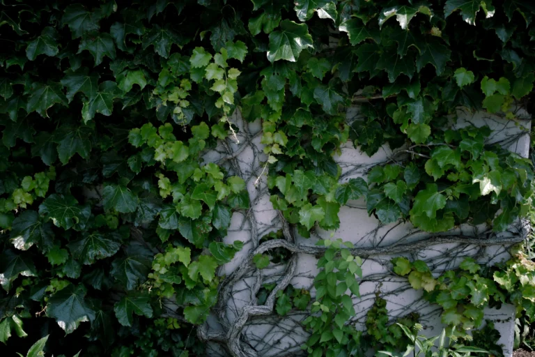 How to Make a Vertical Garden Wall (Step-by-Step Guide)