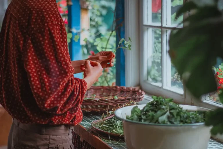Easy Herbs to Grow Indoors (Even Without a Green Thumb)